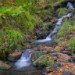 Hebden 311009_12